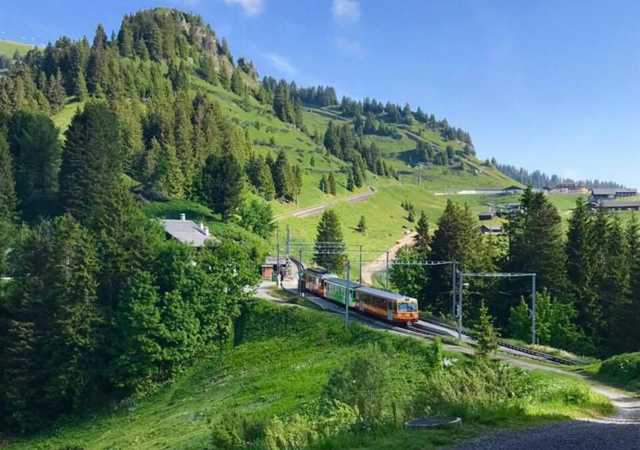 Maison De Montagne De Bretaye Acces Par Le Train Arret Bouquetin Villars-sur-Ollon Luaran gambar